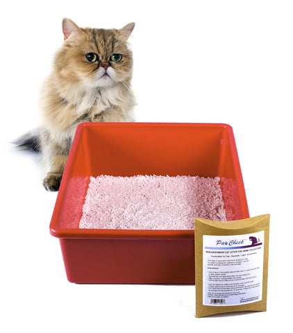PawCheck UTI Test Kit for Cats including Non-absorbent and Reusable Cat Litter