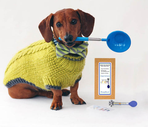 PawCheck® PawCheck UTI Test Kit for Dogs with Reusable P-Scoop Urine Collector