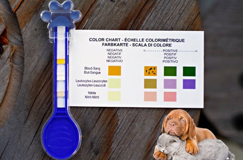 PawCheck® Urinary Tract Infection Kit